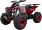 125cc 4 Takt Quad  S-10  ACTIONBIKES 8 Zoll 3 Gang SEMI Automatik