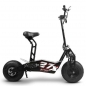 X-Scooter 48/60 Volt 1600/1800/2000 Watt - Blei oder Lithium Akku