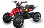 49cc Mini Quad Repti 6 Zoll